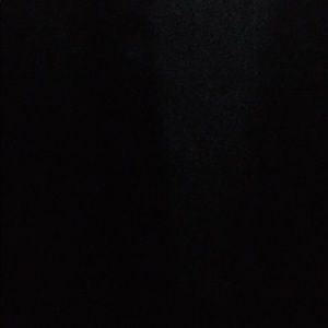 Meet your Posher, Bentlie